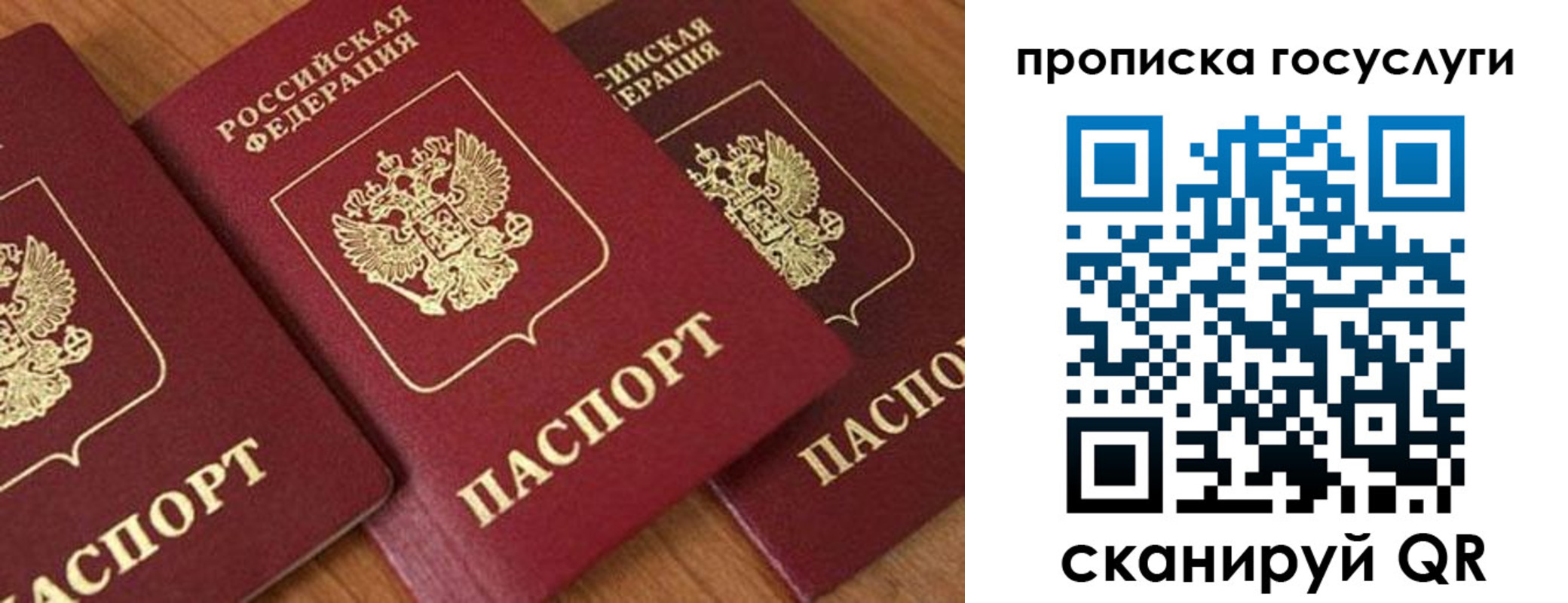 прописка иностранных граждан в Электростали